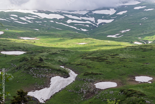 Alpine meadows with new plants blooming on the slopes, with flowers and green vegetation in spring and summer, nature walks