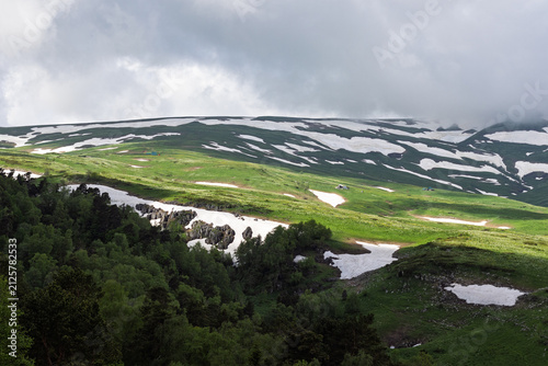 Alpine meadows with new plants blooming on the slopes, with flowers and green vegetation in spring and summer, nature walks