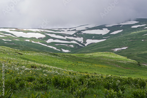 Alpine meadows with new plants blooming on the slopes, with flowers and green vegetation in spring and summer, nature walks