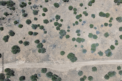 The Many Views of the Arizona Desert