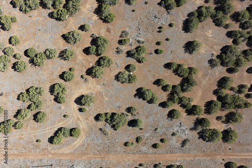 The Many Views of the Arizona Desert