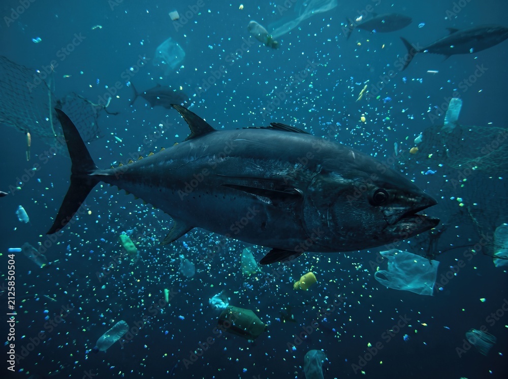 Naklejka premium Bluefin tuna swimming rapidly through ocean saturated with toxic microplastics