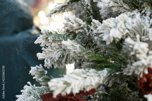 Frosted Evergreen Detail in Christmas Market Display