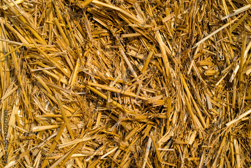 Yellow straw bale close-up photo