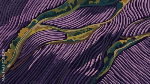 Aerial view of purple lavender fields in a stylized pattern
