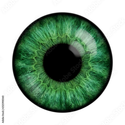 Fotografía Green human iris with detailed texture isolated on transparent background