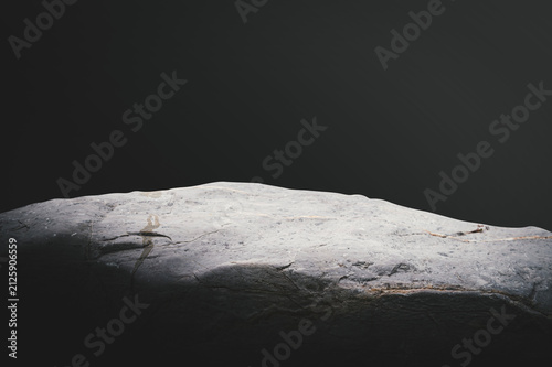 Bild auf Leinwand Smooth Grey Stone Pedestal with Dramatic Studio Lighting.