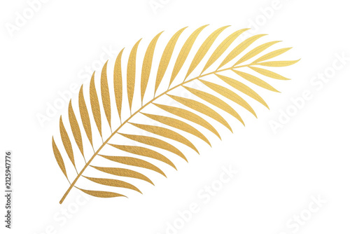 Long curved golden palm frond with narrow leaves