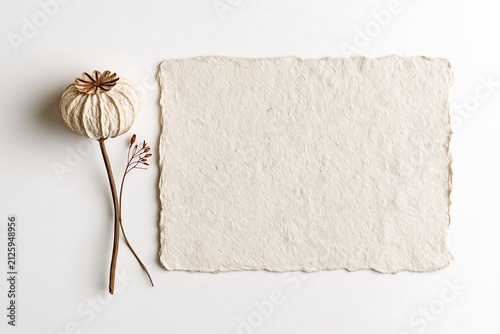 Handmade paper sheet with dried poppy seed head and small wild plant isolated on white background