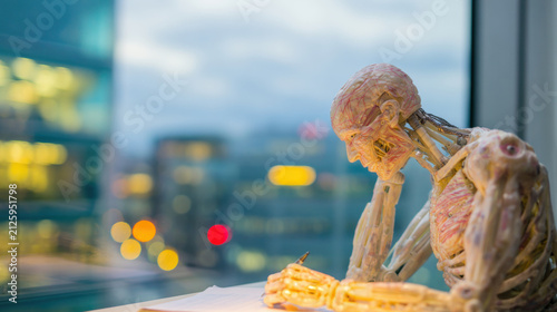 Skeleton model writes notes by the window in a city setting during twilight