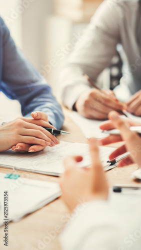 Corporate team analyzing project plan and budget