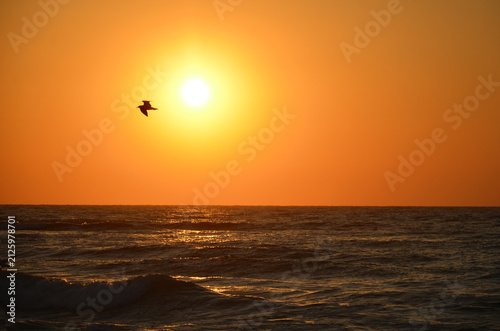 One seagull in flight silhouetted against the morning sun over a calm ocean. Golden light reflects off the water as waves roll gently toward the shore. Sunrise landscape on the sea with flying bird .