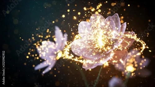 cosmic fowers, cosmic graden, Abstract cosmic background for meditations grading, cosmic relaxing video, calming nature videos, asmr, youtube, stock videos