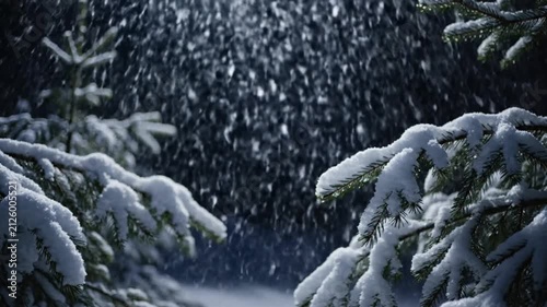 Falling Snow in Winter Forest with Snow-Covered Pine Trees