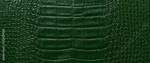 Close up of dark green crocodile leather texture