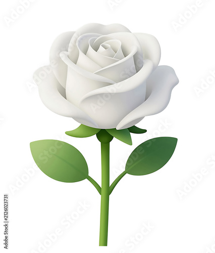 white rose isolated on white