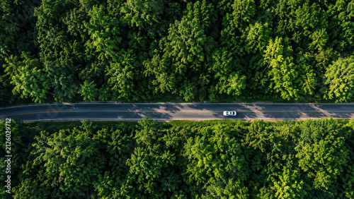 Aerial forest road car traveling through dense green woodland from above