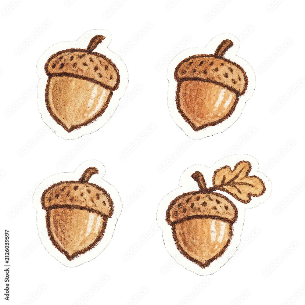 Obraz premium PNG Hand-drawn acorn sticker set.