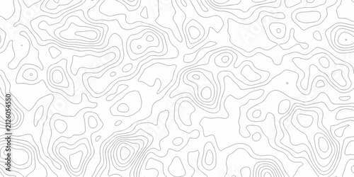 Bild auf Leinwand White abstract wave paper spiral area world topography map curved reliefs design