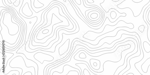 Cuadro en lienzo White abstract wave paper spiral area world topography map curved reliefs design