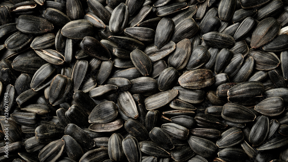 Fototapeta premium Roasted sunflower seeds with shell fill the entire frame. Healthy vegan snack packed with protein and vitamins. Great choice for diet food background presentation.