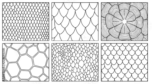 Diverse animal skin and scale patterns in a collection of square vector illustrations showing organic textures for nature and biology design projects