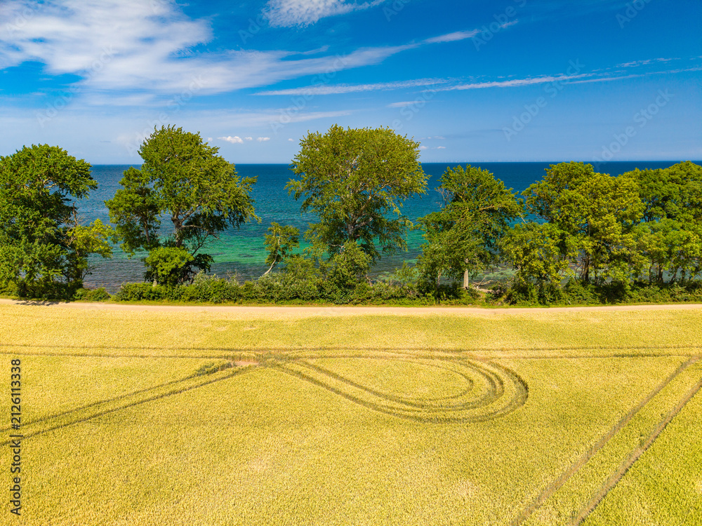 Obraz premium Katharinenhof Coast, Fehmarn Island, Baltic Sea, Germany