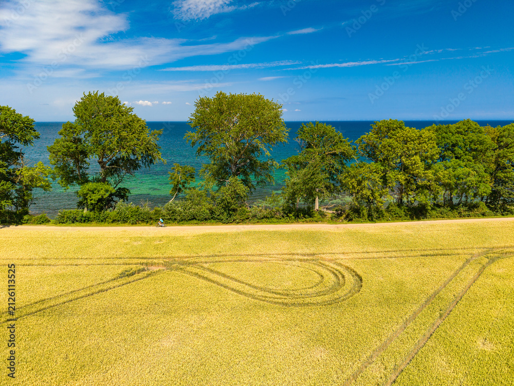 Obraz premium Katharinenhof Coast, Fehmarn Island, Baltic Sea, Germany