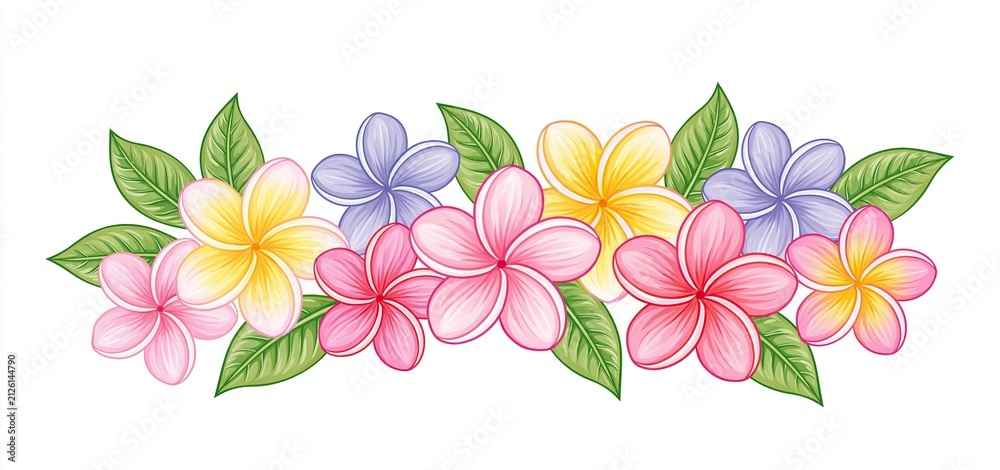 Fototapeta premium Plumeria flowers in soft pastel tones paired with lush green leaves create a vibrant tropical floral arrangement.