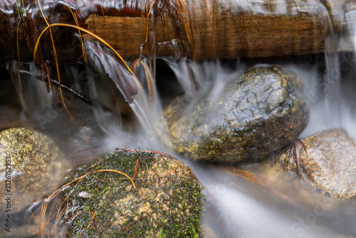 Cascading Waterfall Over Log in Forest Stream. Waterfall in the forest