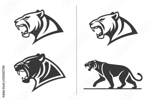 Four black and white tiger heads and walking side view vector