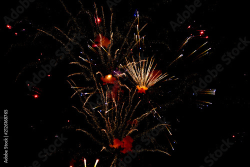 Fotografie vue d'un feu d'artifice devant la Tour Eiffel pour le 14 juillet à Paris en Fran