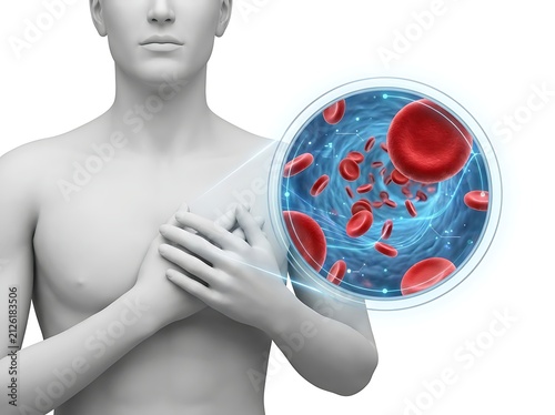 3d illustration of a man clutching his chest with a magnified view of red blood cells flowing through a blood vessel, isolated on white background