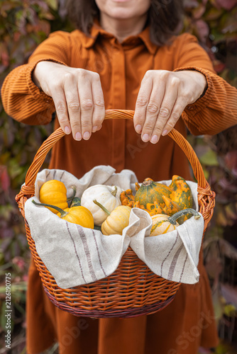 Fotografie Woman holding wicker basket with diverse heirloom pumpkins