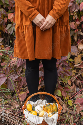 Obraz na płótnie Woman in orange corduroy dress holding basket of pumpkins