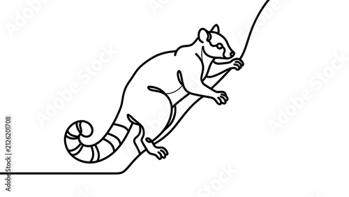 Raccoon illustration on a white background.