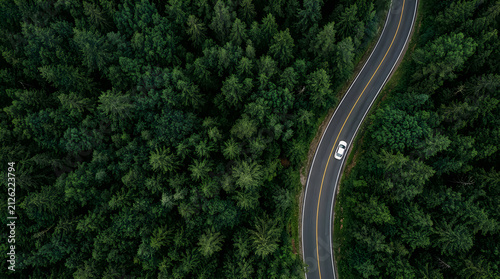 A single white car driving on a winding asphalt road through a dark green forest seen from a high aerial drone perspective view