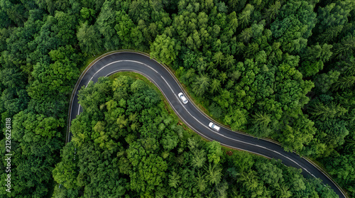 Aerial view of cars driving on a curvy asphalt road through a dense green forest