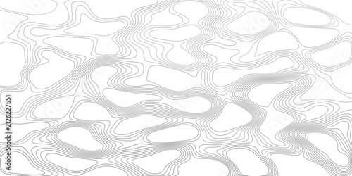 Contour map background with fine grey lines on white. Abstract wavy relief pattern showing terrain elevation. Topographic line design for presentation, poster and packaging.