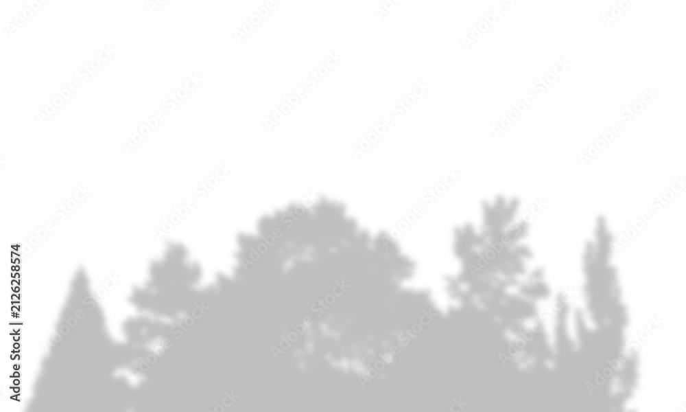 Fototapeta premium Shadow of trees on a white wall, overlay effect for photo editing, natural foliage silhouette isolated on transparent background