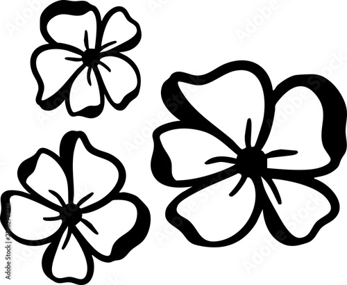 Hand Drawn Leaf Clover flower Set