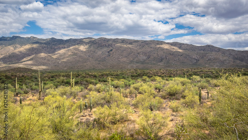 Foto The Rincon Mountain District of Saguaro National Park outside Tucson in southwes
