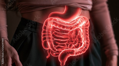 Vibrant red digital overlay of healthy human intestines and digestive system on a person's midsection, highlighting anatomical structure and internal health awareness