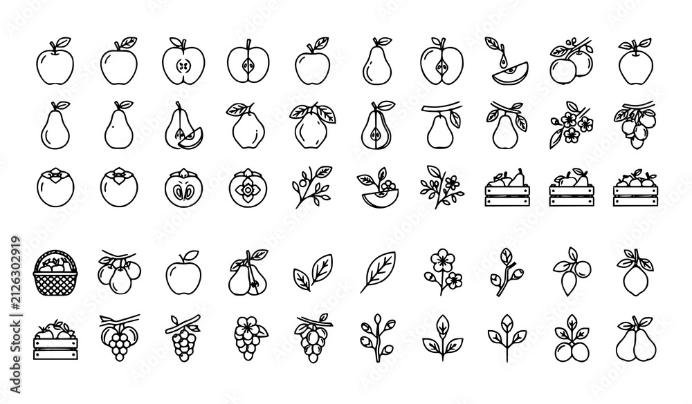 Fototapeta premium Orchard Fruit Monoline Outline Icon Collection with Apple Pear Quince and Persimmon Vector Illustration