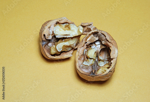 Fotografía a walnut in the halves