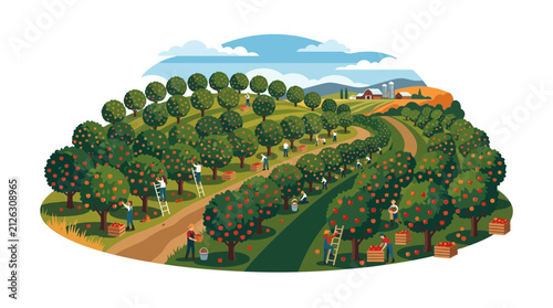 Illustration of Farmers Harvesting Fruit in an Orchard