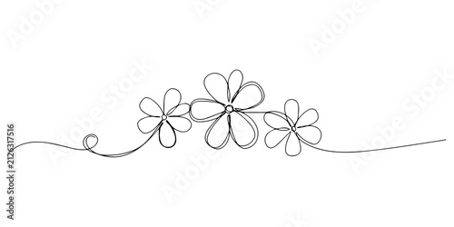 Fotografie Three daisy flowers drawn in a single continuous line style with a minimalist ar