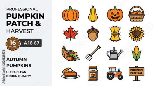 Professional Pumpkin Patch And Harvest Autumn Pumpkins And Fall Harvest Elements