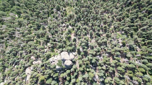 Aerial view of mountain range forest looking directly down