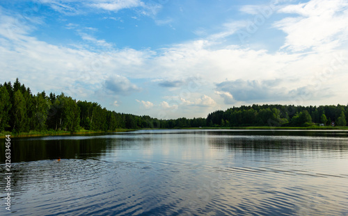 Panoramic view of a rural lake near a forest in summer